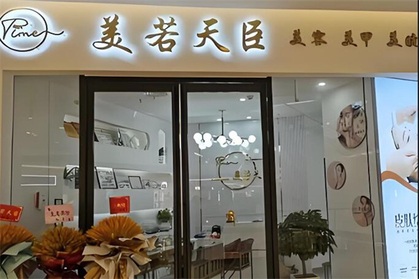 美若天臣