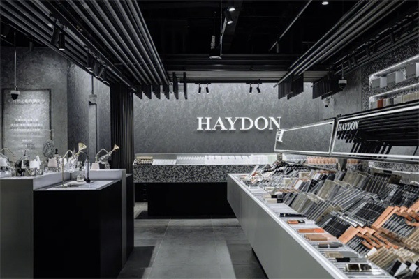 haydon黑洞