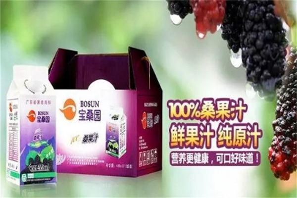 宝桑园桑果汁 宝桑园桑果汁