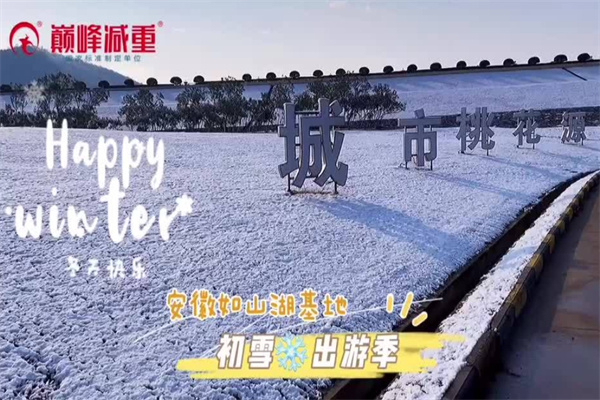 巅峰减重减肥训练营