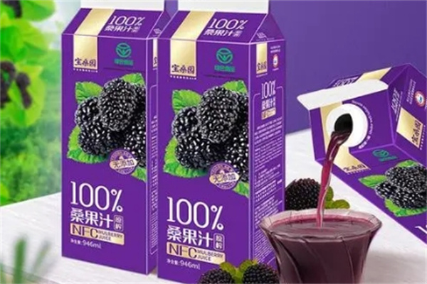 宝桑园桑果汁 宝桑园桑果汁
