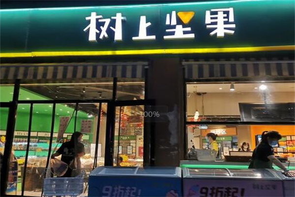 树上坚果