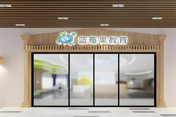 蓝莓果教育