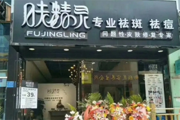青蚨肤精灵