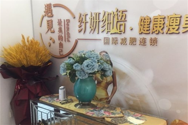 纤妍细语减肥