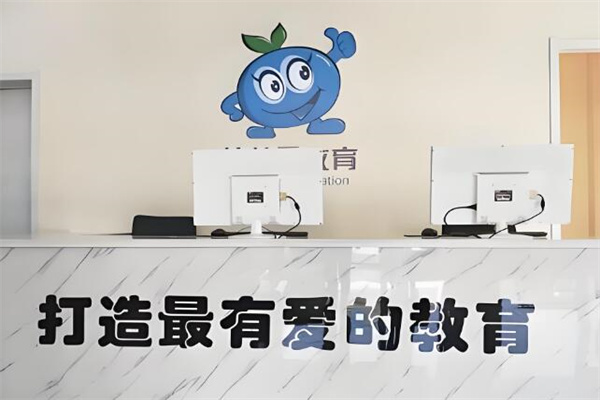蓝莓果教育
