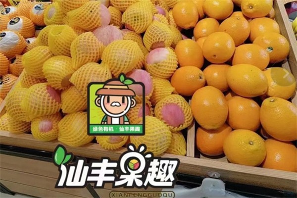 仙丰果趣水果