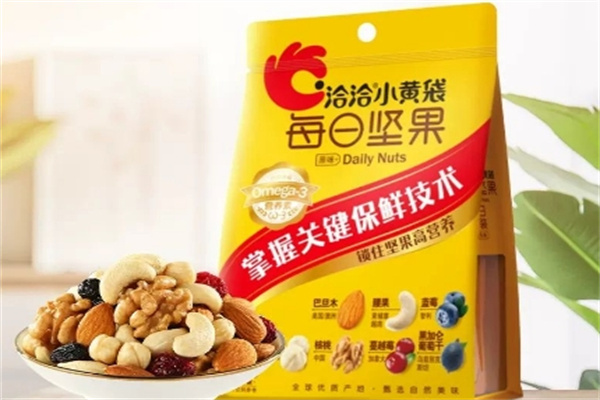 洽洽每日坚果