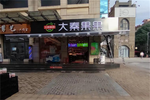 大秦果果 大秦果果