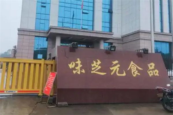 味芝元零食