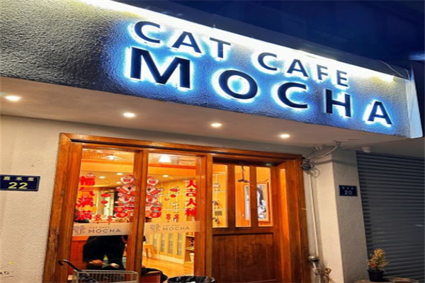 猫咪咖啡馆