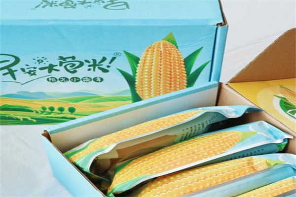 随心食季早安大苞米