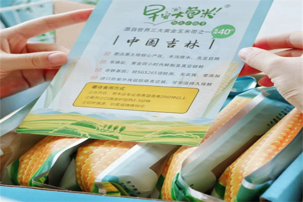 随心食季早安大苞米