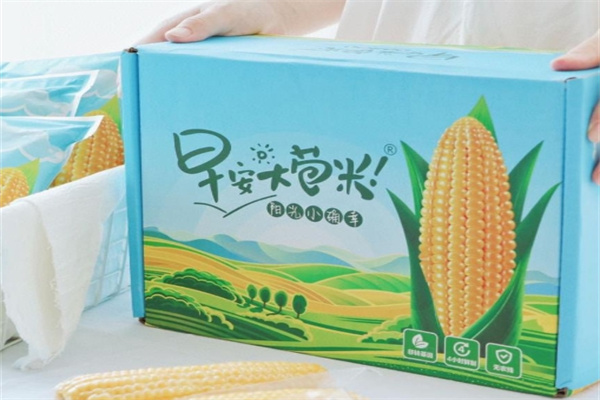 随心食季早安大苞米