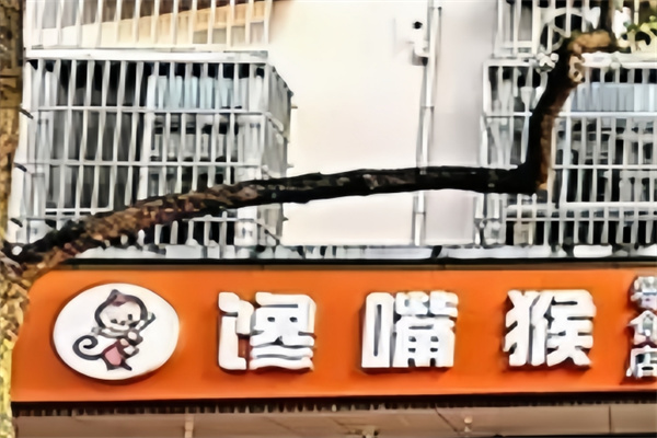 馋嘴猴零食加盟 馋嘴猴零食加盟