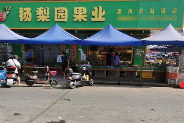 杨梨园水果店
