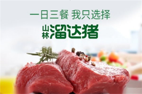 山林溜达猪 山林溜达猪