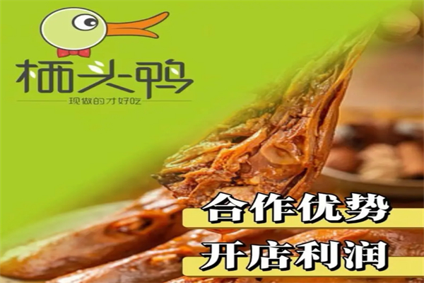 栖头鸭