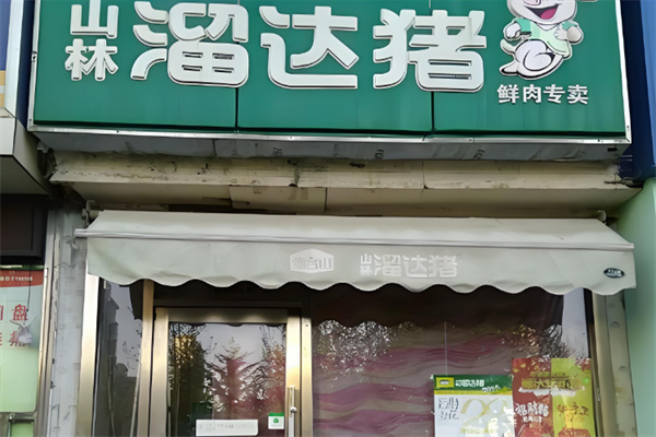 山林溜达猪 山林溜达猪