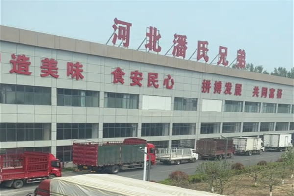 潘氏兄弟休闲食品