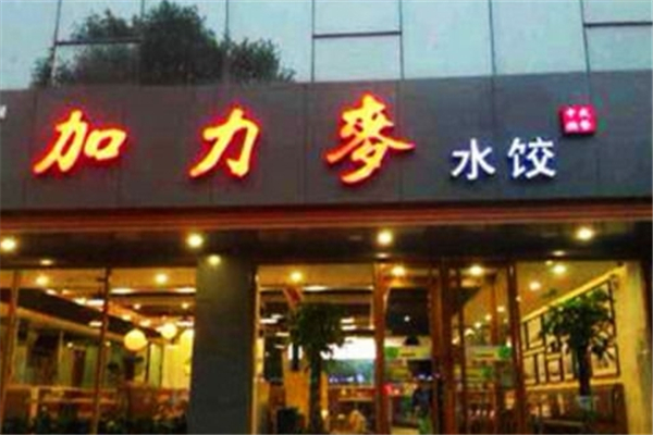 加力麦水饺