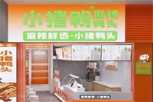 小猪鸭头 小猪鸭头