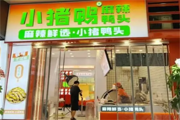 小猪鸭头 小猪鸭头