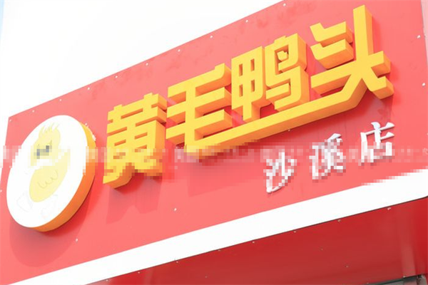 黄毛鸭头