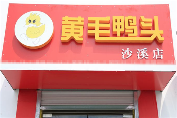 黄毛鸭头