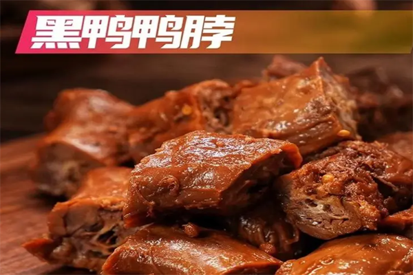 雷黑鸭 雷黑鸭