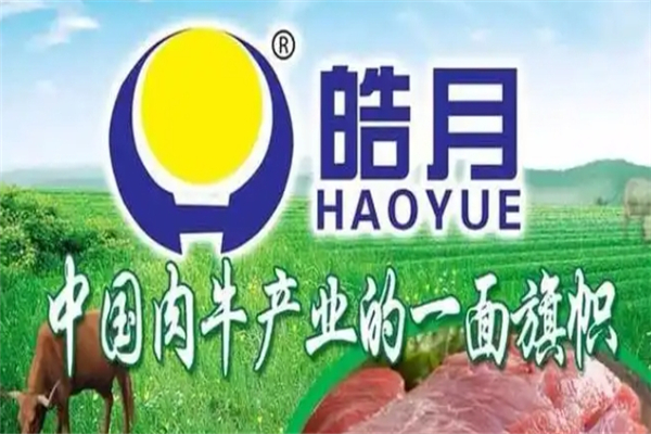 皓月牛肉加盟官方电话号码是多少