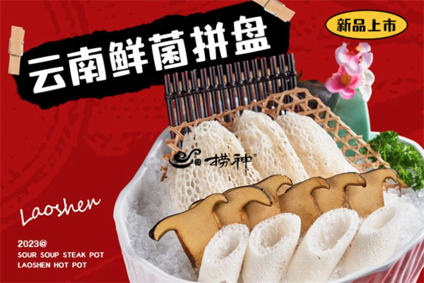 捞神猪肚鸡火锅