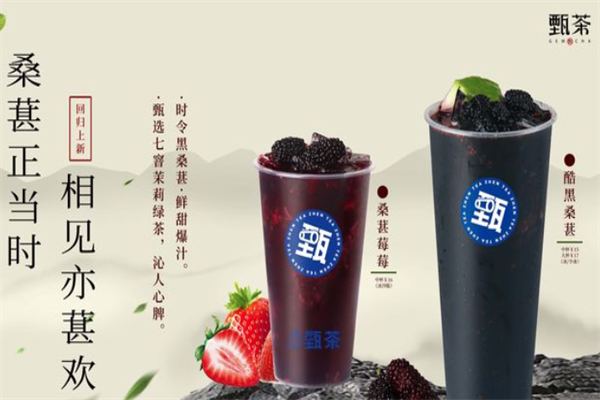 甄茶