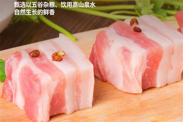 壮乡黑猪