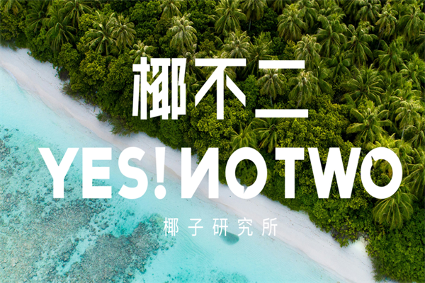 椰不二