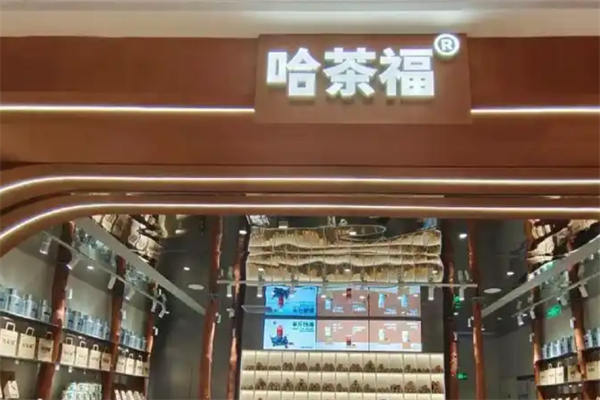 哈茶福 哈茶福