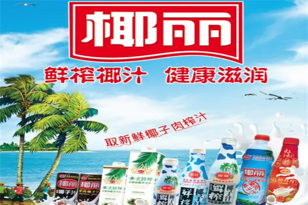 椰丽椰子汁饮品 椰丽椰子汁饮品