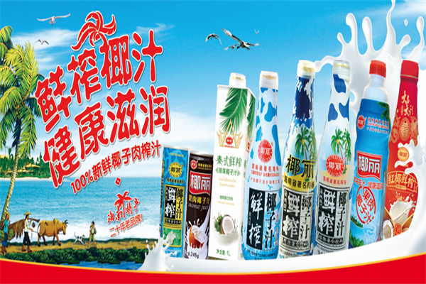 椰丽椰子汁饮品 椰丽椰子汁饮品