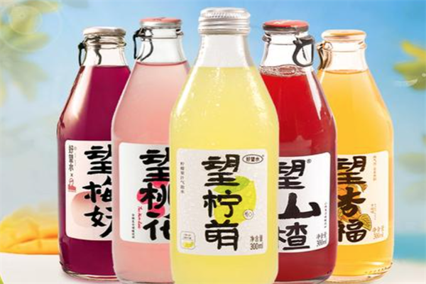 望山楂饮料 望山楂饮料