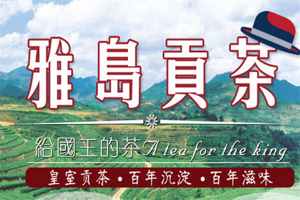 雅岛贡茶