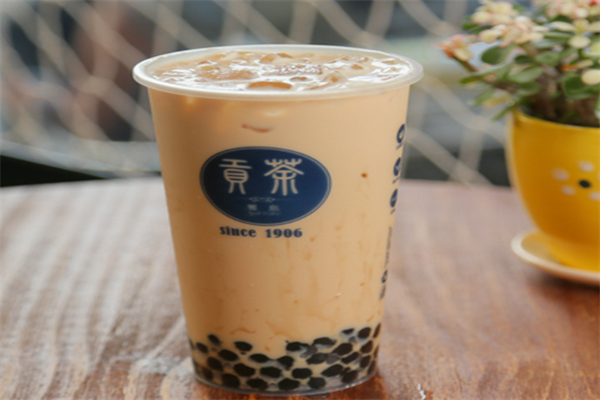 雅岛贡茶