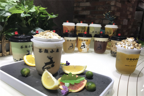茶颜小鹿