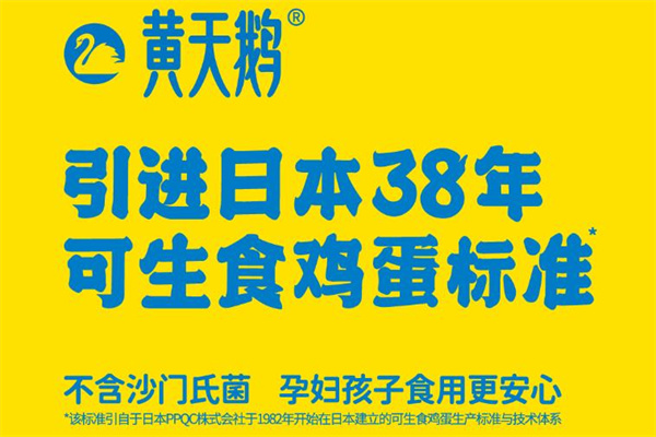 黄天鹅鸡蛋