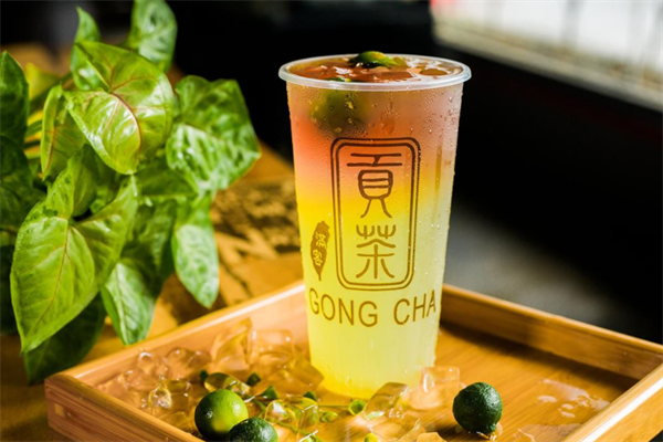 满客贡茶
