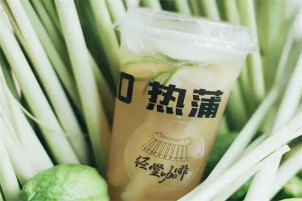 热蒲茶饮
