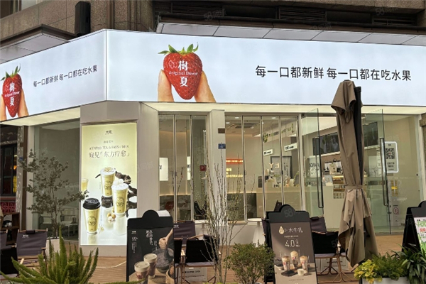 树夏奶茶加盟