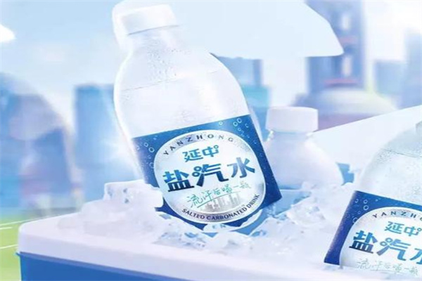 延中盐汽水加盟 延中盐汽水加盟