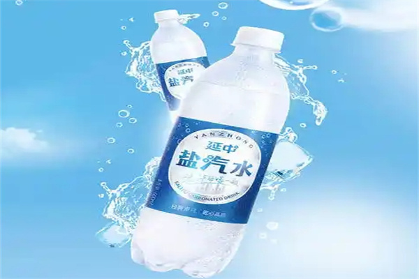 延中盐汽水加盟 延中盐汽水加盟