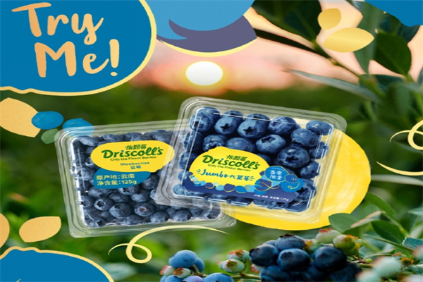 Driscoll's怡颗莓 Driscoll's怡颗莓