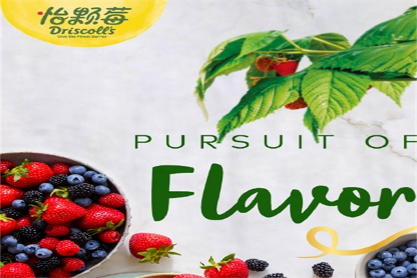 Driscoll's怡颗莓 Driscoll's怡颗莓